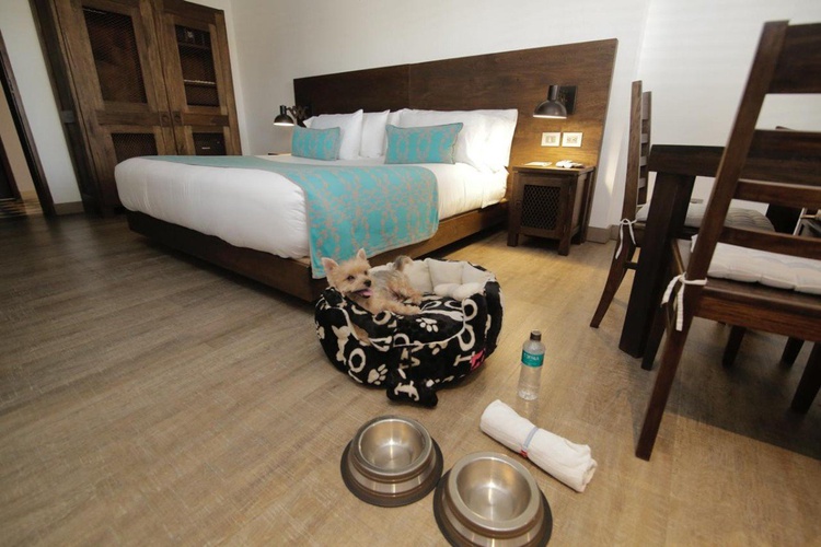 Pets Sophia Hotel  Cartagena de Indias